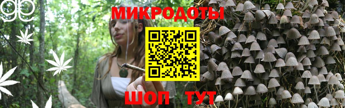 Галлюциногенные грибы Psilocybe Сызрань